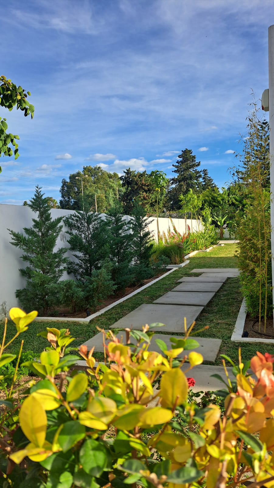 Conception de jardin privé en Tunisie