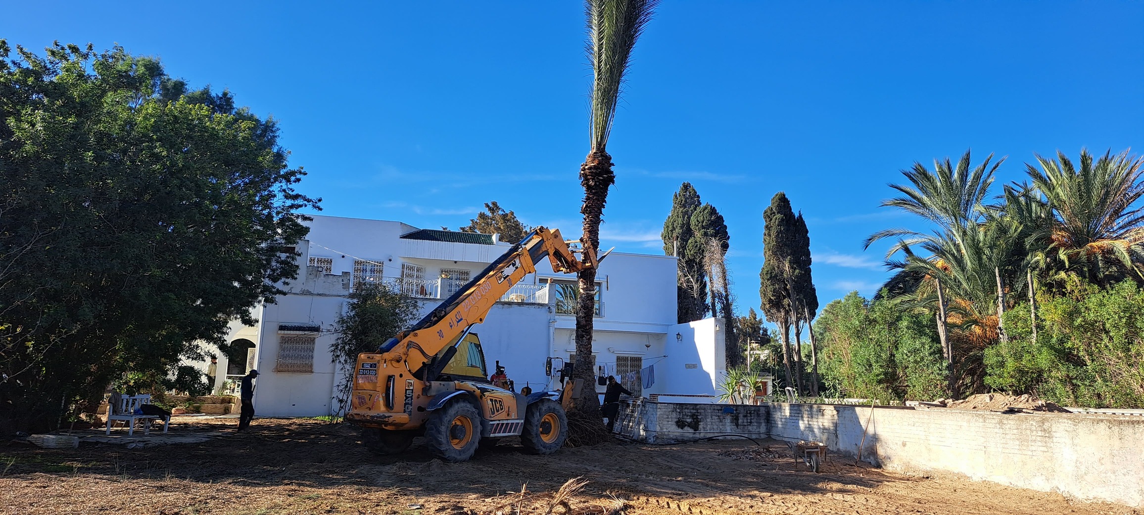 Suivi de chantier paysager en Tunisie - Verthème