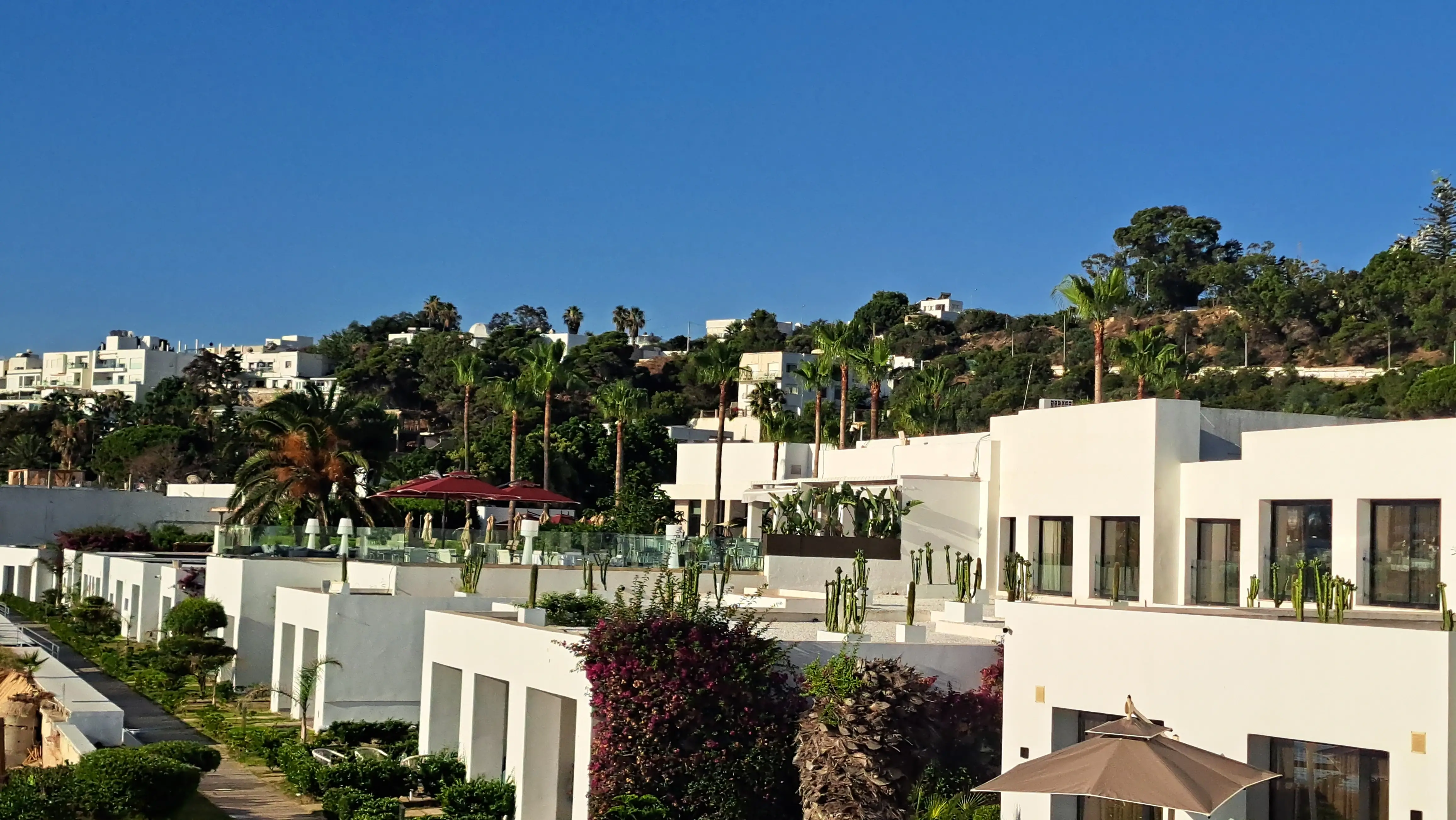Aménagement paysager d'hôtel en Tunisie